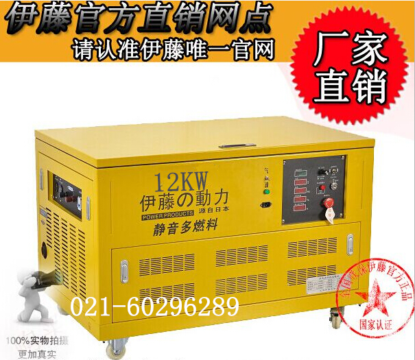 伊藤動(dòng)力多燃料發(fā)電機(jī)YT12RGF