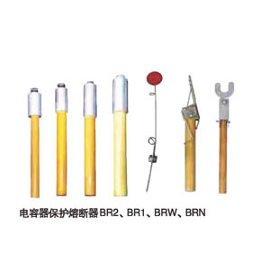 雷控供应BRW-10/50电力电容器保护高压熔断器