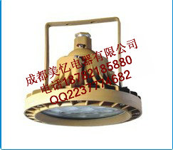 BLED9132 免維護(hù)LED節(jié)能防爆燈