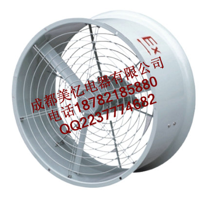 CBF-300防爆軸流風(fēng)機(jī) 0.18KW 220V