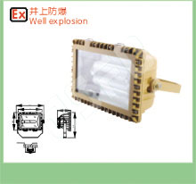 SBD3109-j400防爆泛光灯型号 井上400瓦防爆金卤泛光灯