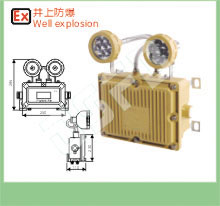 SBD3112防爆照明应急灯 BAJ52防爆双头应急灯厂家价格