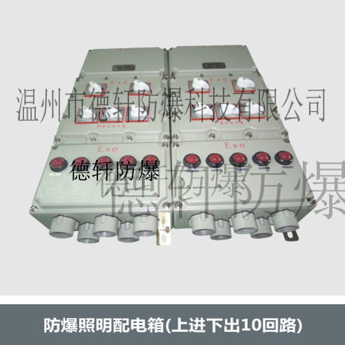 供应上进下出10回路、防爆照明配电箱、德轩防爆照明配电箱；非标