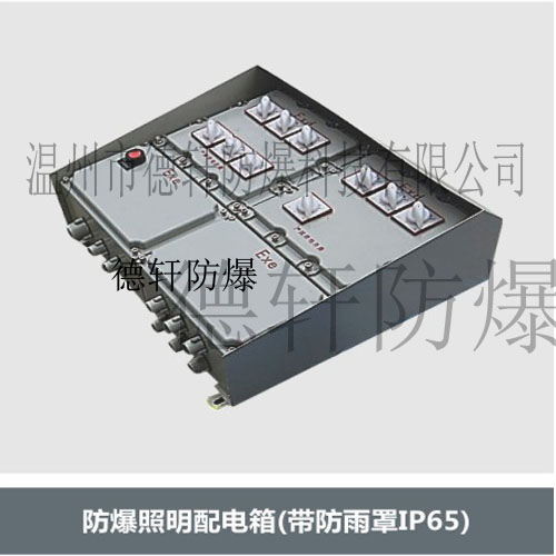 供应带防雨罩IP65、防爆照明配电箱、德轩防爆照明配电箱、非标