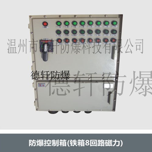 供应铁箱8回路磁力、防爆控制箱、德轩防爆控制箱、非标制定