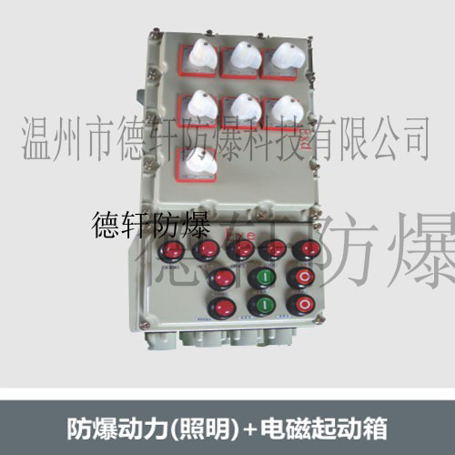 供应温州德轩、防爆动力（照明）+电磁起动箱、温州防爆控制箱、非标