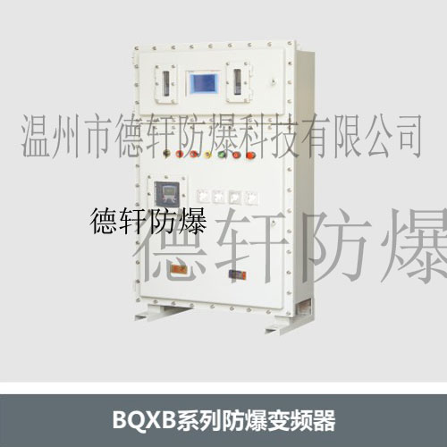 供应BQXB系列、防爆变频器、可靠防爆变频器、安全温州德轩防爆电器