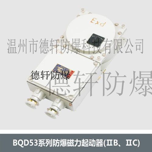 供应BQD53、防爆磁力起动器、德轩防爆防腐电器、非标