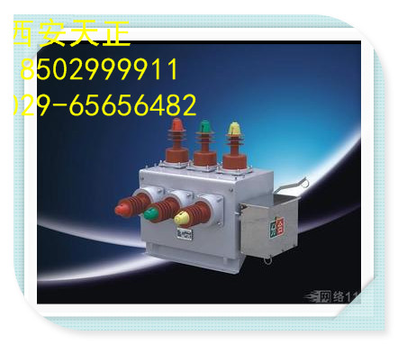 西安厂家批发10KV高压真空开关ZW8-12/630-20