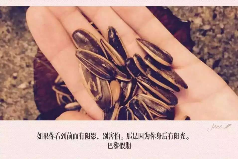 临沂黑糖瓜子400g我想静静