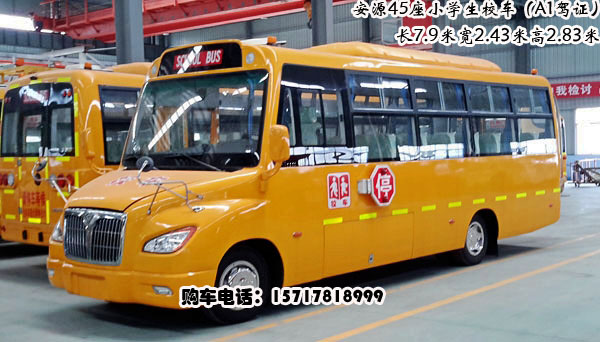 45座校車價格，45座小學生校車報價，安源45座校車多少錢