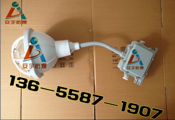 三防工廠燈/FAD-S-L100b1Z防水防塵防腐燈 1*100W