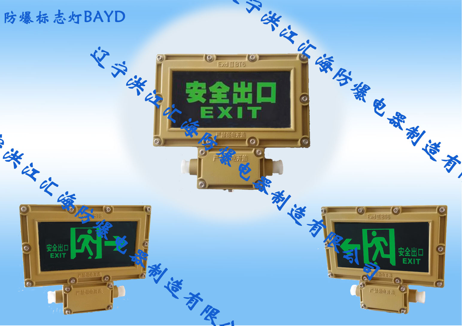 防爆标志灯BAYD