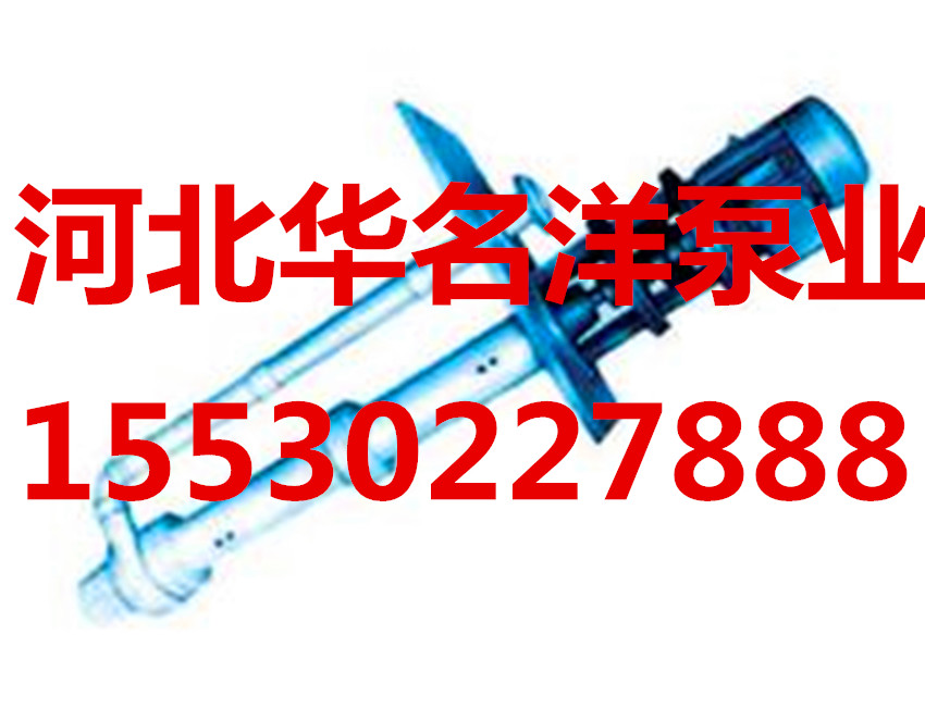 供應(yīng)100FY23A液下泵不銹鋼液下泵耐酸堿液下泵化工泵|華名洋泵