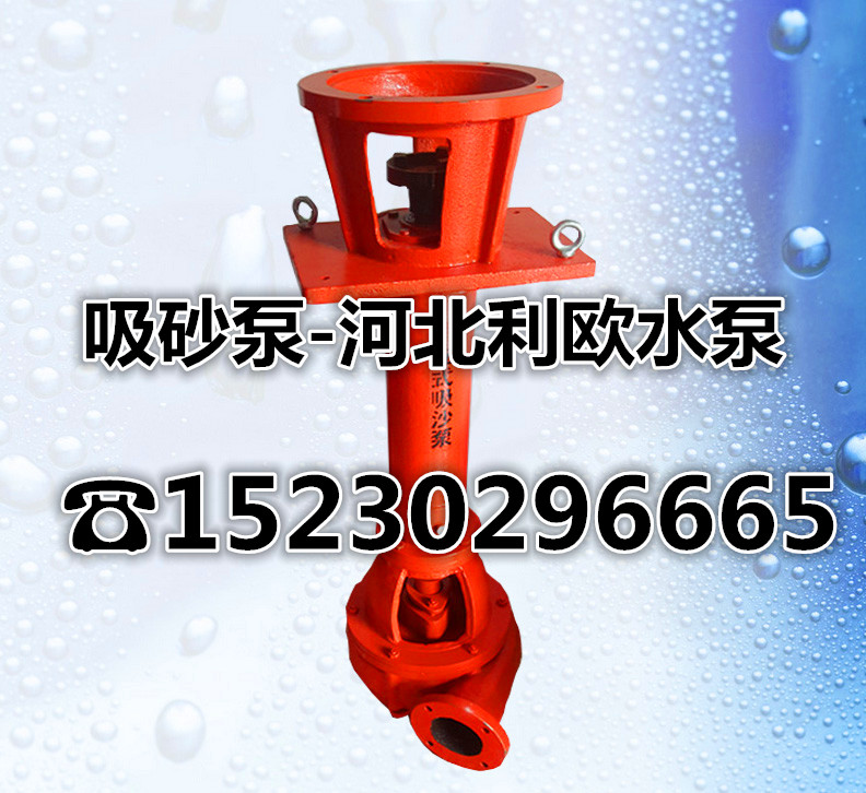 立式吸沙泵NSL型耐磨泥浆抽沙泵船用高扬程吸沙泵化粪池沼气池排污泵