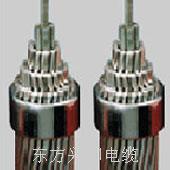 2xJNRLH58/G1A-1440/200/120/135双分裂耐热铝合金导线