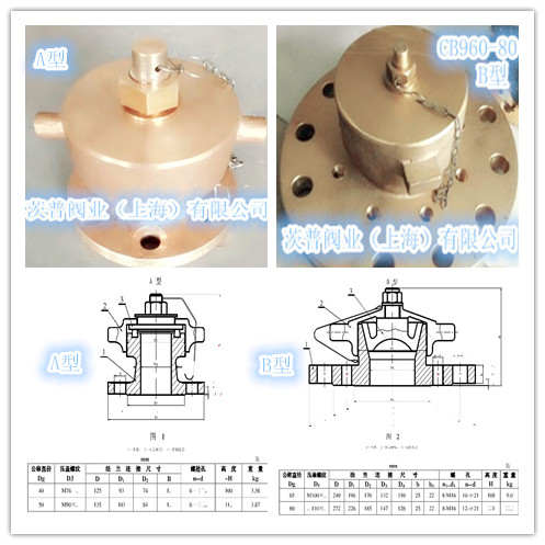 CB960-80船用耐压注入头