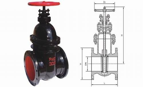 Z45TW-10/16大口徑暗桿楔式閘閥