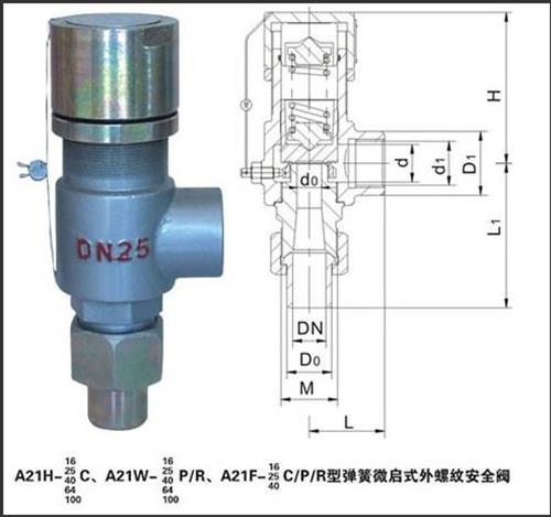 A21H-40C彈簧式安全閥