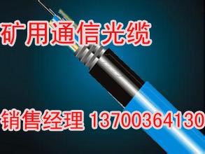 化工易爆易燃電纜標(biāo)準(zhǔn)，防爆電纜品牌廠家	IAKVVRP IAKVV