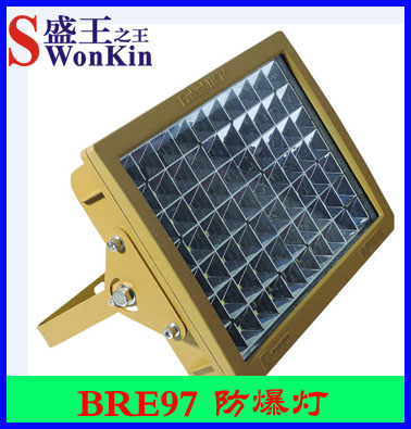 BRE97防爆灯 LED防爆灯|100W