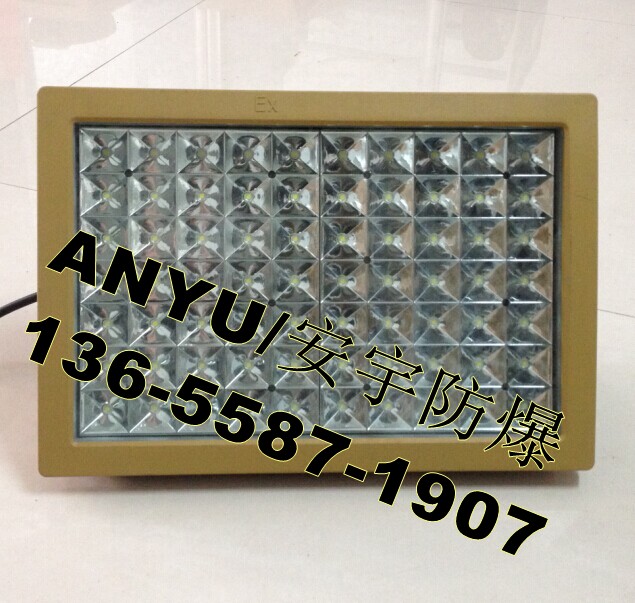 70W防爆LED泛光燈/BLD-70W免維護(hù)LED防爆壁燈