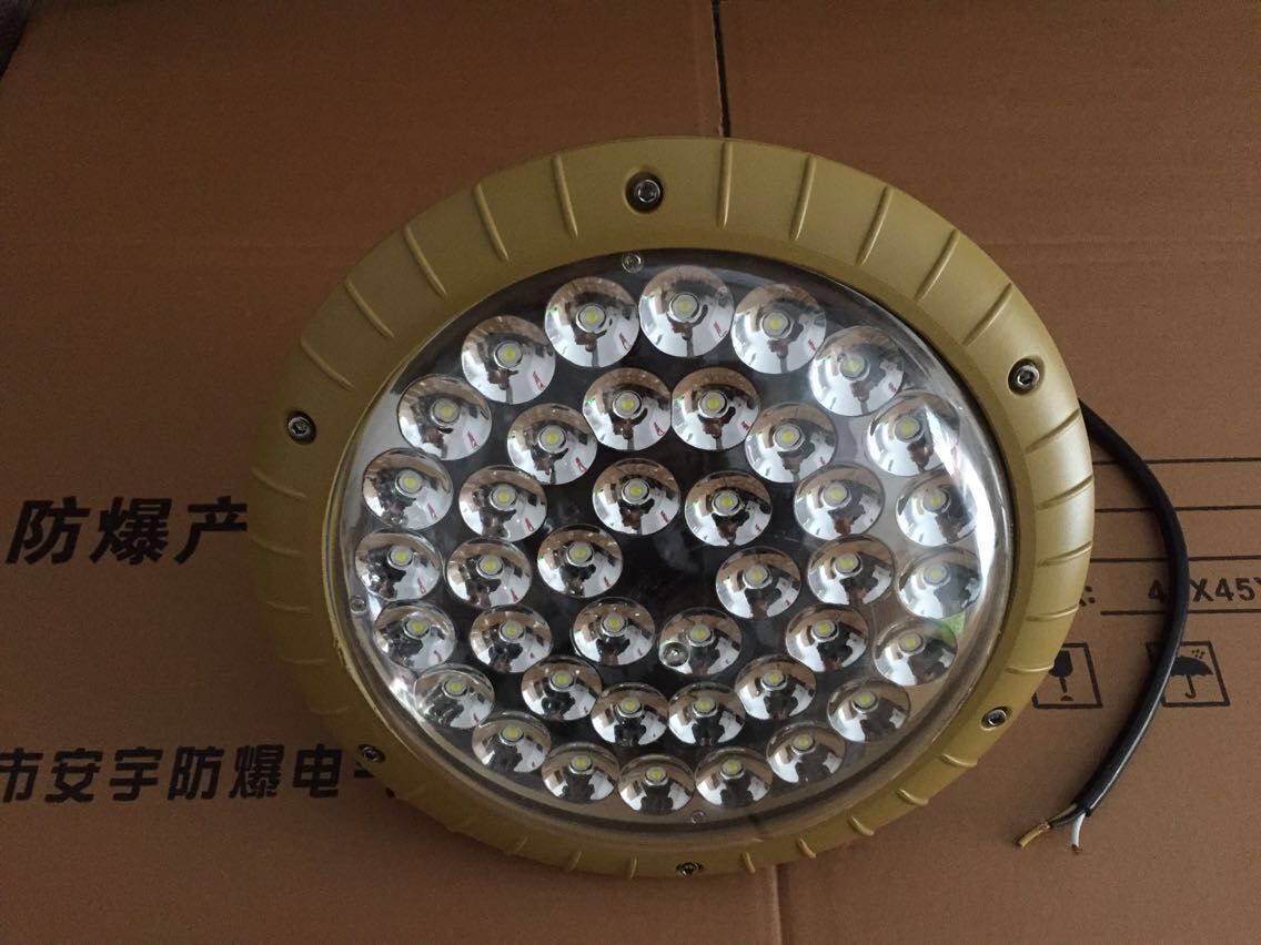 免維護LED防爆燈BLD-80W/220V 壁式30°彎桿/吸盤