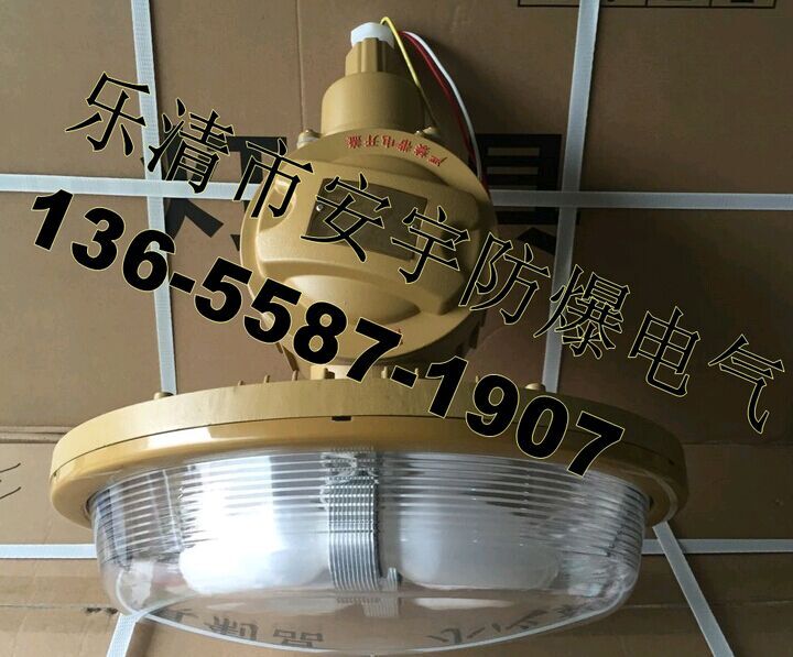 免維護(hù)防爆無極燈SBD1102-YQL40B/40W電磁感應(yīng)燈