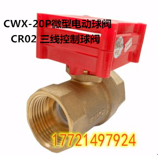 CWX-20P电动微型铜球阀