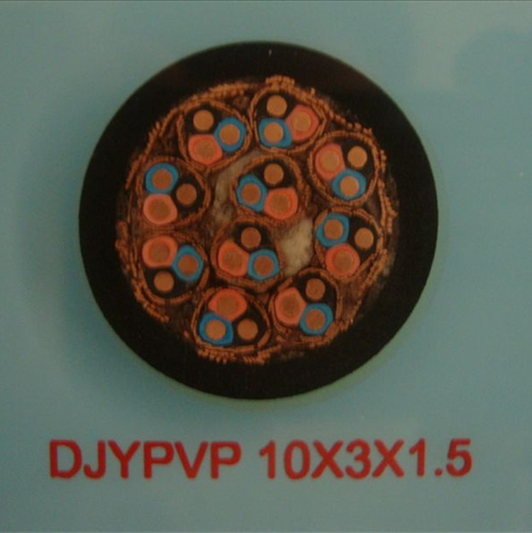 djypvp-2*2*1.0計(jì)算機(jī)電纜