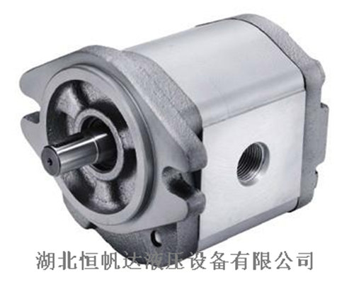 國(guó)內(nèi)名牌_HGP-22A-F1212L不銹鋼齒輪油泵