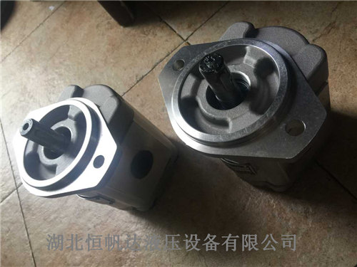 價(jià)格實(shí)惠_HGP-3A-F17R-2B不銹鋼齒輪油泵