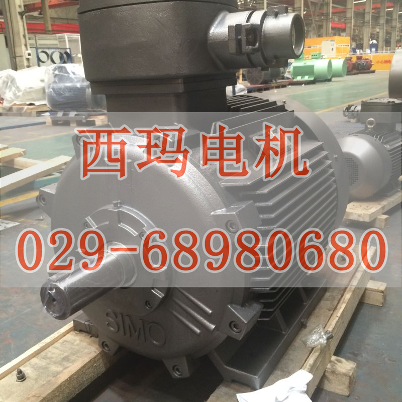 YGP355L1-6 110KW/F級(jí)或H級(jí)絕緣變頻輥道電機(jī)廠家直銷【鴻泰電機(jī)】