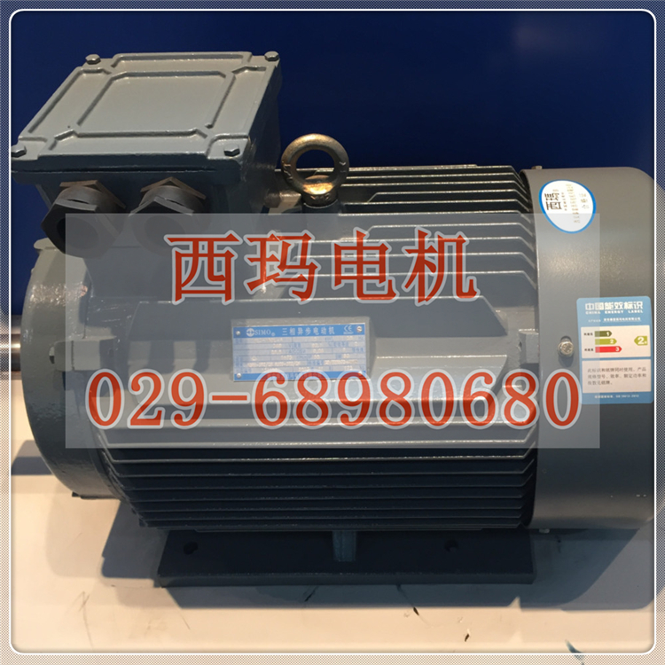 YGP250M2-8 22KW/IC410冷却方式辊道电机一年质保【鸿泰电机】