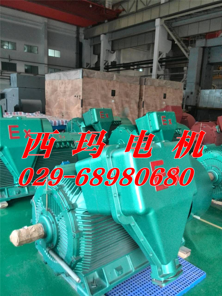 YE4-315L1-4一級(jí)能效三相異步電機(jī)生產(chǎn)廠家