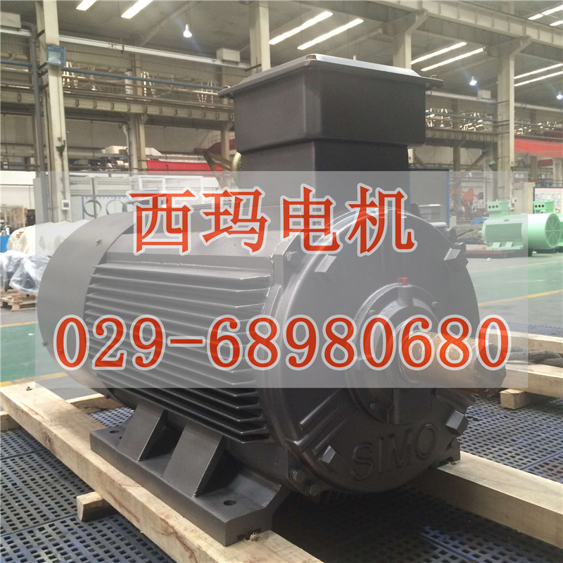 【JS147-8	450KW 380V】JS系列电动机批发供应