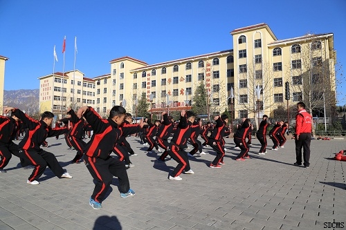 全国各地哪里武术学校好