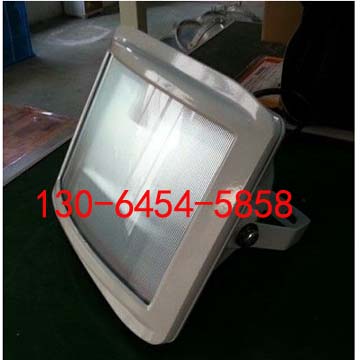 SAF2002D SAF2002D 150W防眩通路灯 三防型灯具