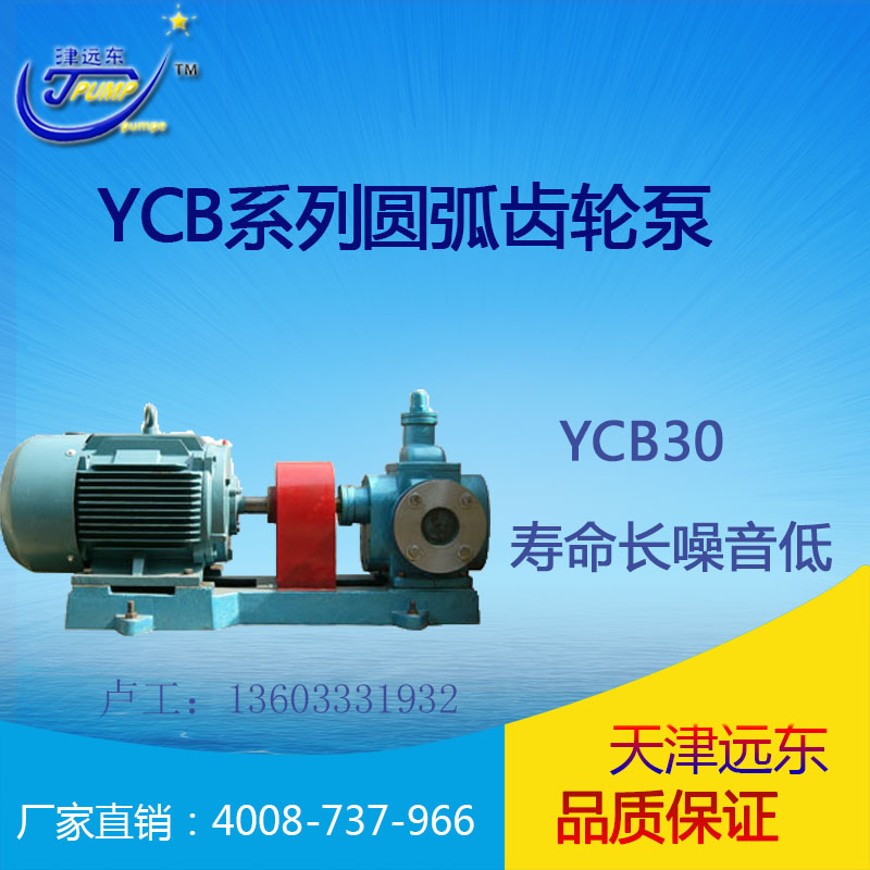 津遠(yuǎn)東YCB系列YCB30棕櫚油專用泵值得信賴（天津遠(yuǎn)東泵業(yè)）