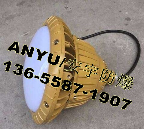 BLD110-50W-X節(jié)能LED燈50WLED射燈帶2.3米護欄