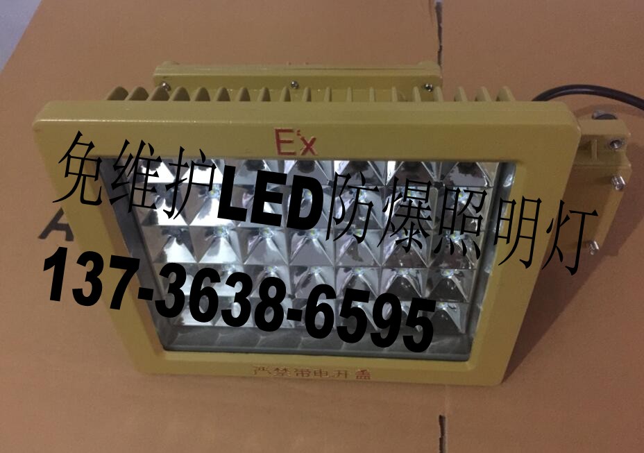 LED防爆加油站燈投光燈，防爆燈50W/60W/100W