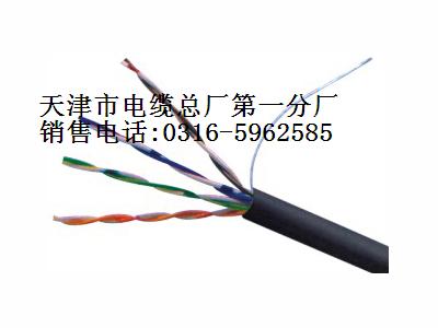 加工定做RS485雙絞線 RS485電纜