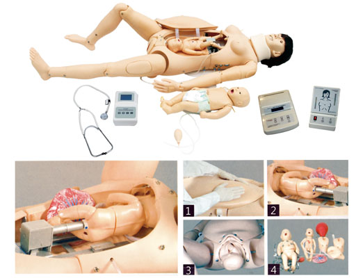  难产模型,助产训练模型,孕妇分娩训练模型