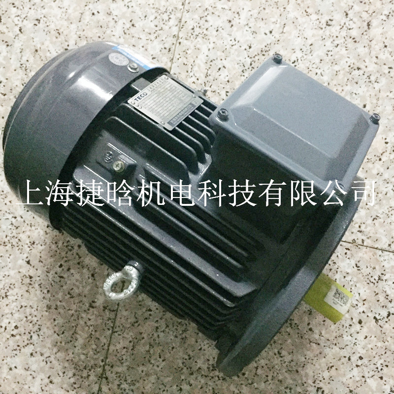 原装AEVFF3无锡东元电机 TECO三相标准新F系列30KW