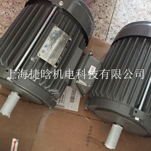 QIN WEI ELECTRIC CORP 立式马达AEUL MCV2三相电机