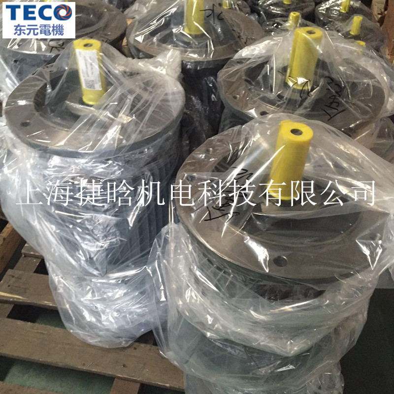 全新原装TECO东元高效电机AEVFF3 75KW 2P三相异步电机