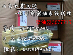 国动力400G发电机组3077715喷油器STC(重康KTA19