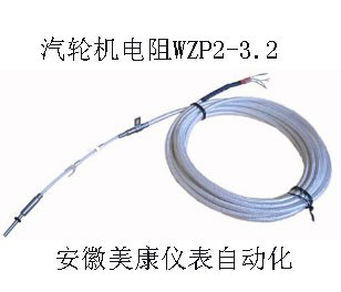 进口汽轮机铂电阻-进口汽轮机铂电阻厂家销售-WZP2-3.2铂电阻