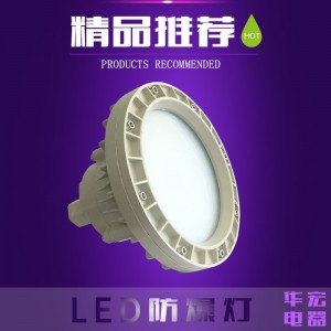 成都LED防爆灯20W 30W 24V防爆工厂灯具 生产产家