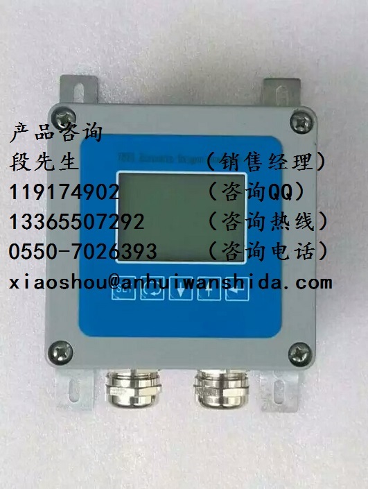 小巧型氧化锆氧量分析仪